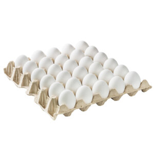 HUEVO BLANCO